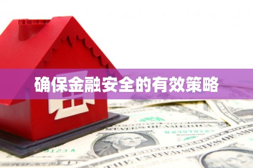 武威确保金融安全的有效策略