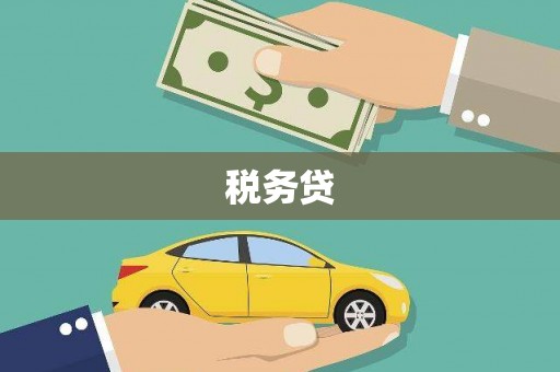 武威税务贷