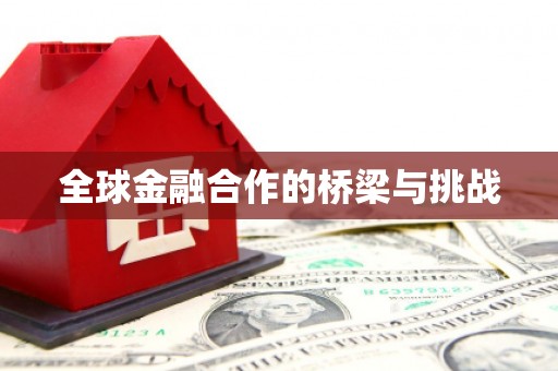 武威全球金融合作的桥梁与挑战