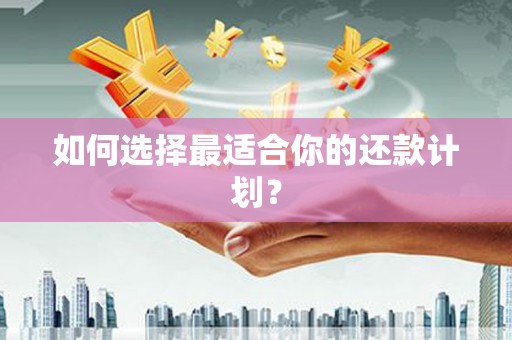 武威如何选择最适合你的还款计划？