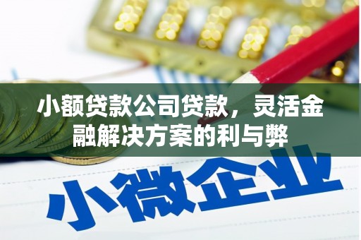 武威小额贷款公司贷款，灵活金融解决方案的利与弊